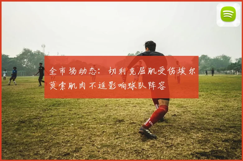 全市场动态：切利克屈肌受伤埃尔莫索肌肉不适影响球队阵容