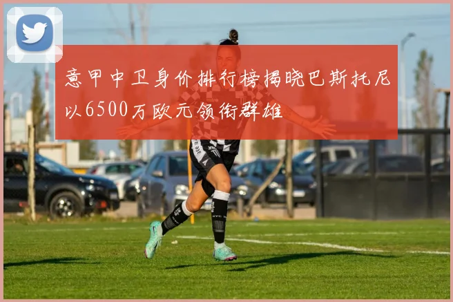 意甲中卫身价排行榜揭晓巴斯托尼以6500万欧元领衔群雄